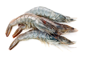 shrimps on a white background 