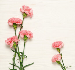 Pink carnation flowers on on white wood background.