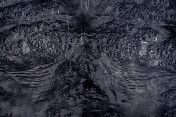 Karelian birch texture colored in black. Wooden surface background.