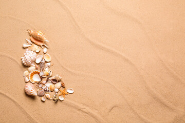 Fototapeta na wymiar Beautiful seashells and starfish on beach sand, flat lay with space for text. Summer vacation