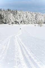 Cross country skiing track on sunny day