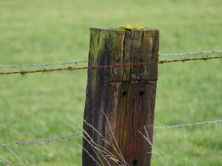 Stacheldrahtzaun an Holzpfeiler