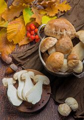 Mushroom Boletus edulis over Wooden Background, close up on wood rustic table. Cooking delicious organic mushroom. Gourmet food