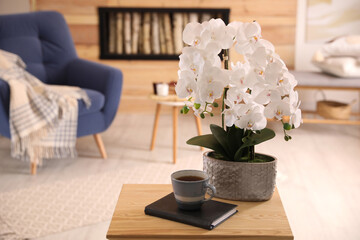 Beautiful white orchids and cup of tea on wooden table in living room. Interior design