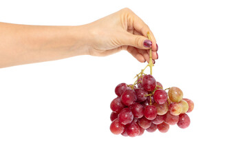 Red grapes in hand isolated on white