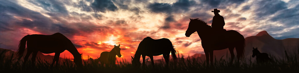 Fototapeta na wymiar silhouette of a horse breeder cowboy at sunset