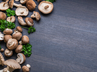 Different brown colored edible mushrooms on black table with herbs. Top view.