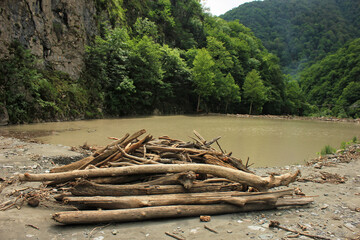 Fototapeta na wymiar Logs washed ashore by the river.