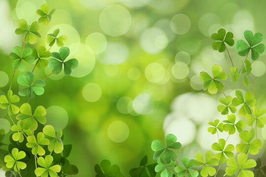 Four Leaf Clover Background Images – Browse 947 Stock Photos, Vectors, and  Video | Adobe Stock