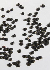 Black beans on white background.