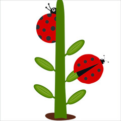Vector cartoon 2 ladybugs and plant icon isolated on white background. Simple modern flat illustration. Rainbow colors. Learning for children.