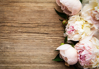 Pink peony flowers as a border