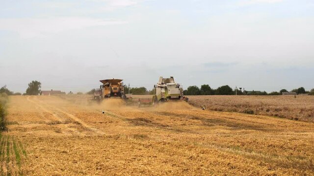 Wheat harvesting on field in summer season. Two modern combine harvesters with rotor separation, chaff spreader cuts and threshes ripe wheat grain. Process of gathering crop by agricultural machinery