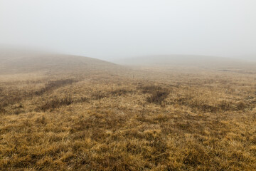 View of the misty meadow in the winter morning