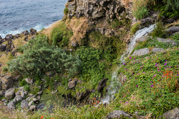 Obraz premium Aerial view of a hill with wild vegetation and a cascading stream by the Atlantic Ocean at Praia da Viola, São Miguel - Azores PORTUGAL
