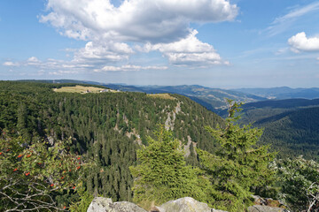 Frankreich - Elsaß - Vogesen - Naturreservat Frankenthal-Missheimle