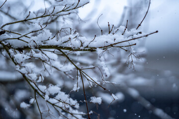 降雪のイメージ　雪　冬のイメージ
