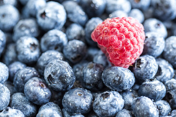 Fresh juicy blueberries background. Flat lay top view copy space. Healthy berry, organic food, antioxidant, vitamin, blue food