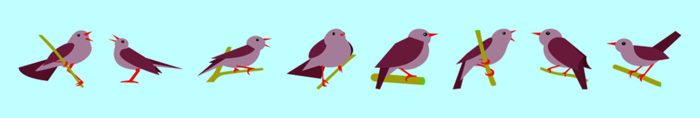 set of nightingale bird cartoon icon design template with various models. vector illustration isolated on blue background