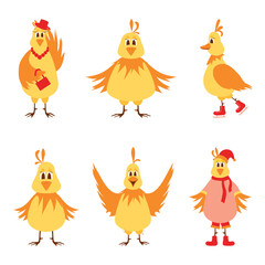 Fototapeta premium Illustration of six laying hens on a white background. Vector illustration