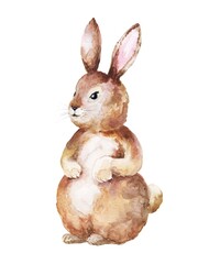 Watercolor easter bunny, hare cute character on white background. Watercolour children illustration.