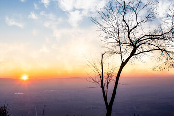 Panorama silhouette tree in italy with sunset.Tree silhouetted against a setting sun. Assisi, province of umbria in background