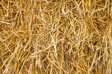 texture, uniform yellow straw in a stack