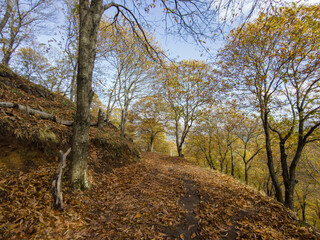 estación del otoño en el valle del Genal, Andalucía