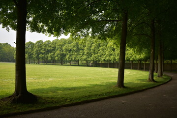 Naturfotografie in Kassel
