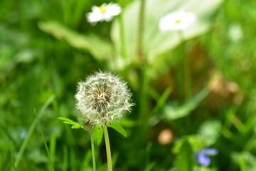 Naturfotografie in Kassel