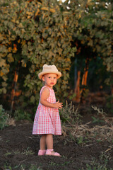 a girl in pink sandals, a pink dress, a light hat, illuminated by the setting sun, stands next to the vineyards
