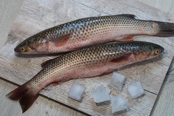
fresh sea fish on a wooden kitchen board close-up.