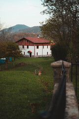 Fototapeta na wymiar Traditional Basque Country house with a dog outside