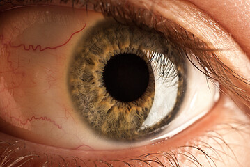 human eye detail