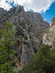 Limestone rock face of Gola Su Gorropu gorge with green bush and trees. Famous tourist hiking destination at Supramonte Mountains, Nuoro, Sardinia, Italy. Summer