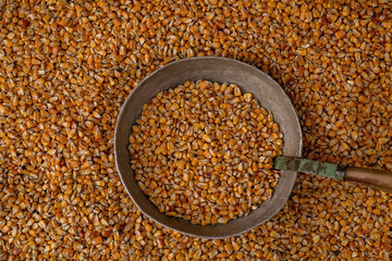 The corn kernels are scattered on the floor and in a cup in the middle.