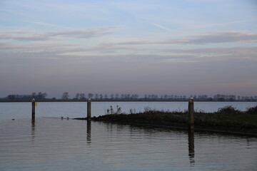 Obraz premium landscape, nature, sky, tree, water, morning, fog, lake, river, dutch, landscape.