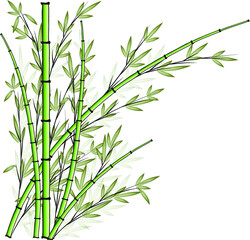 Fototapeta na wymiar vector design bamboo icon background