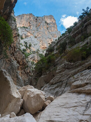 view of Gola Su Gorropu gorge with limestone rock walls, green bush and trees. Famous tourist hiking destination at Supramonte Mountains, Nuoro, Sardinia, Italy. Summer