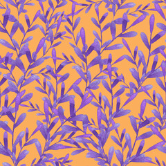 Tender plants with purple leaves on white background