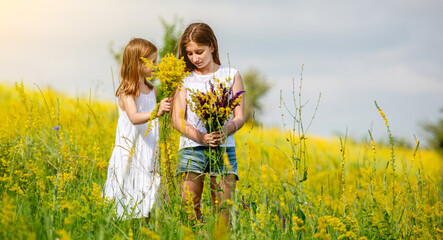 Cute sisters collecting wildflowers on field