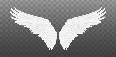 White realistic wings. Pair of white isolated angel style wings with feathers. Vector illustration bird wings design