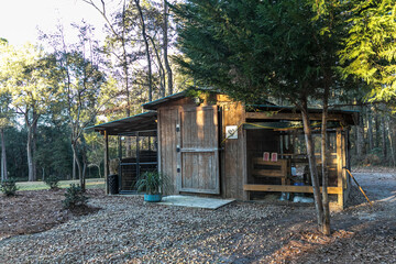 Wood chicken coop on a rural home property with chickens inside