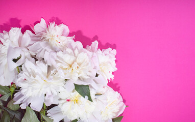 Fototapeta na wymiar Beautiful white peonies. Bouquet of spray peonies on a pink background. Copy space