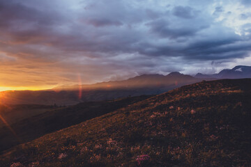Atmospheric landscape with silhouettes of mountains with pink flowers on hill on background of dawn...