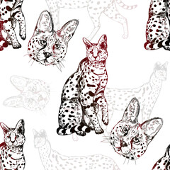 Fototapeta na wymiar Seamless pattern of hand drawn sketch style isolated servals. Vector illustration.