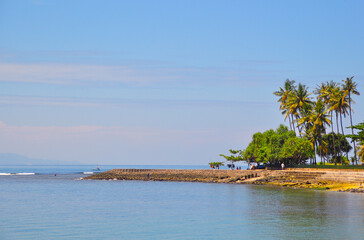 beach with palm trees