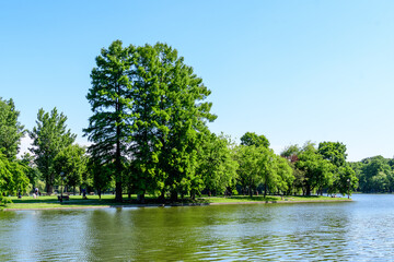 Summer landscape with water, trees and birds in Alexandru Ioan Cuza (IOR) Park in Bucharest, Romania, on a beautiful sunny spring day.