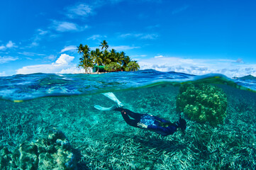Snorkeling at the house reef