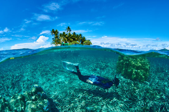 Snorkeling at the house reef